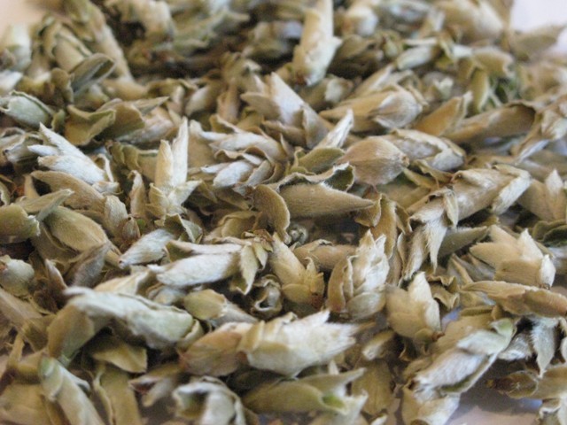 Wild Arbor Buds 2.jpg