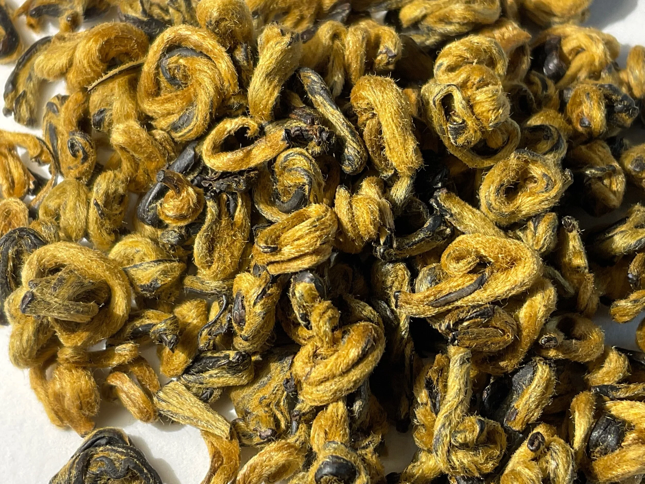 9D6D016D-B7D0-436A-BD87-CDDDABFAC0C4