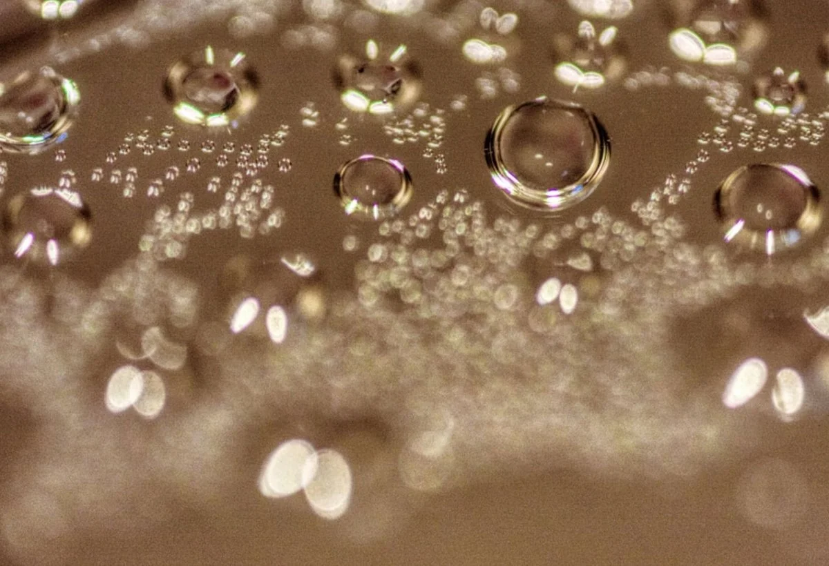 Shrimp eyes? Tell me more!