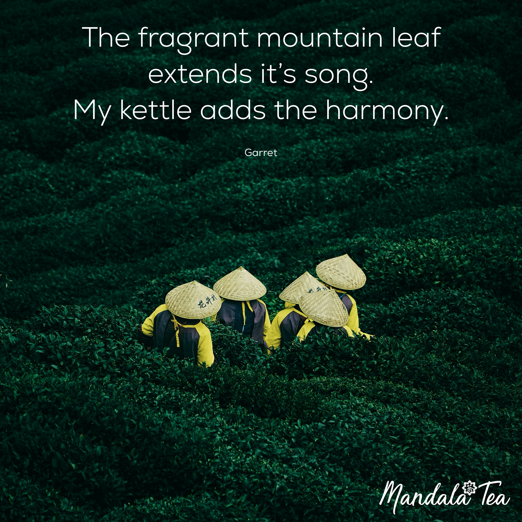 Tasting the mountain