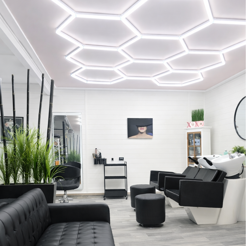 ChatGPT Image Feb 16, 2026, 12_44_36 PM.png