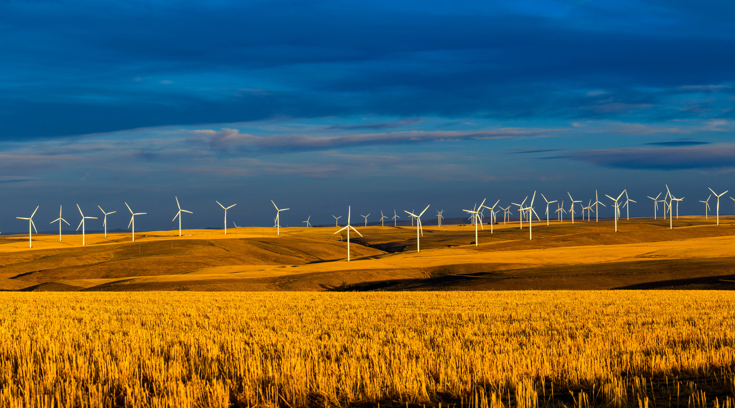 If we put half the funding and energy we spend on welfare into finding new renewable sources of energy, how quickly would we have cold fusion...