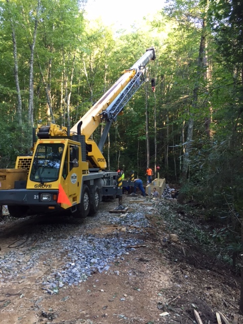 Straight Branch Crane.JPG