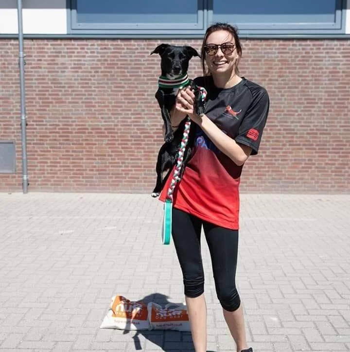 S01 - E01 - Kathrine the dog groomer 