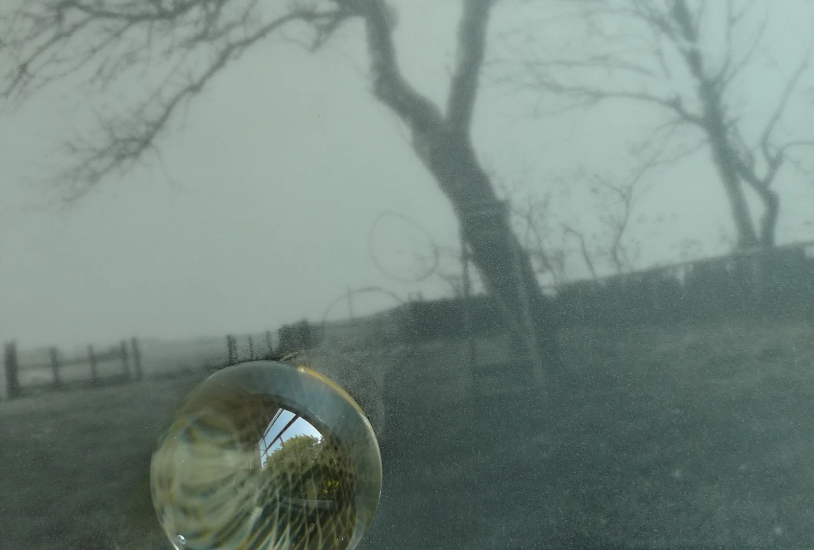 L1020279.JPG
