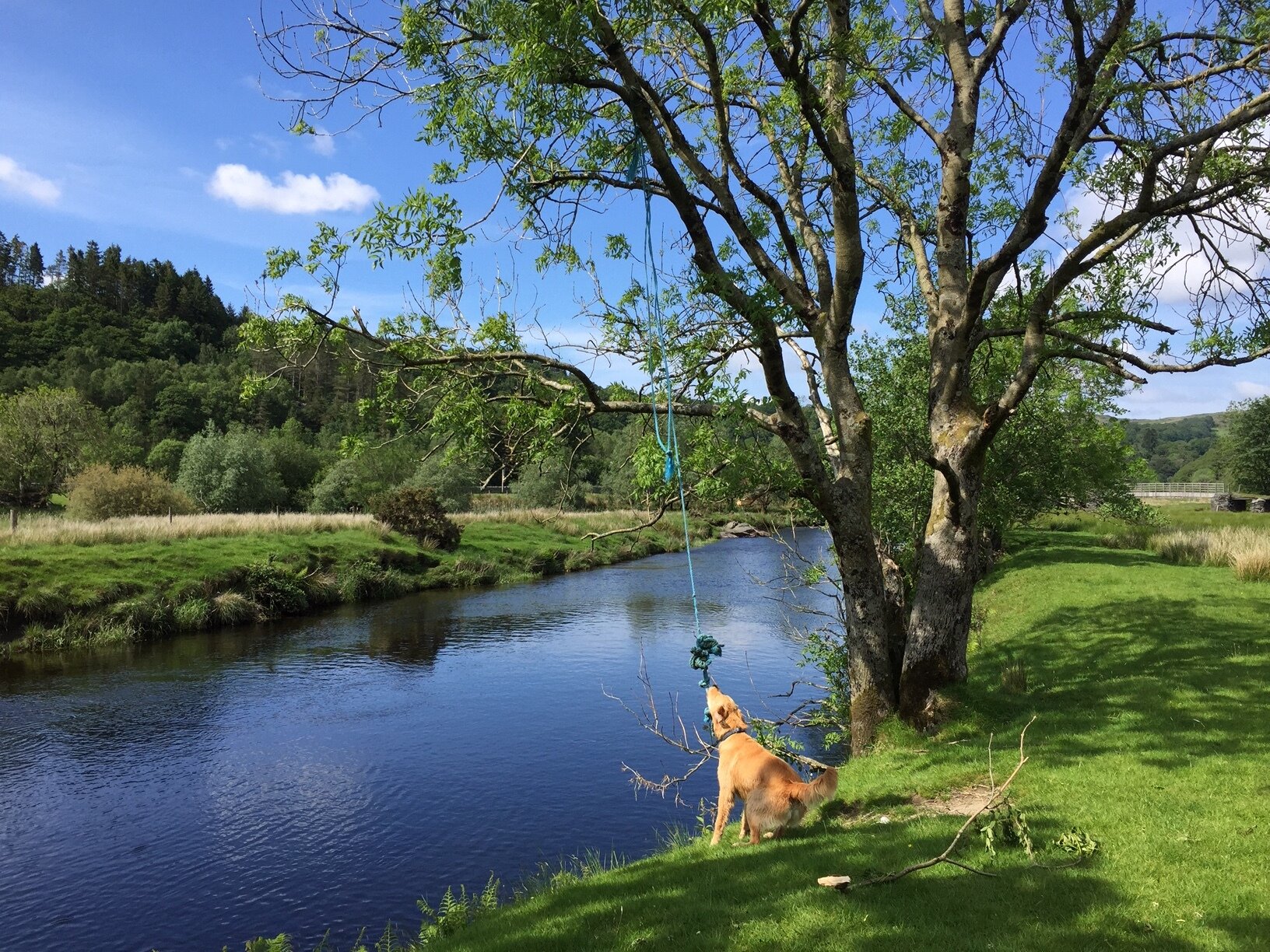 river-near-Dolwyddelan