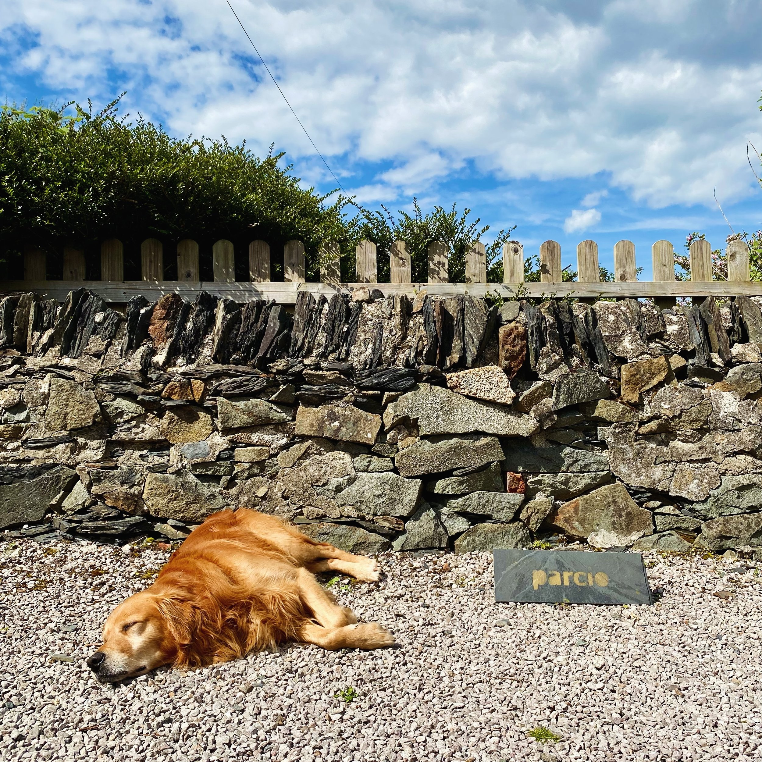 On arrival please head to our secure car park where the Head of Guest Relations will greet you&hellip;. 🐶💤🙄

-