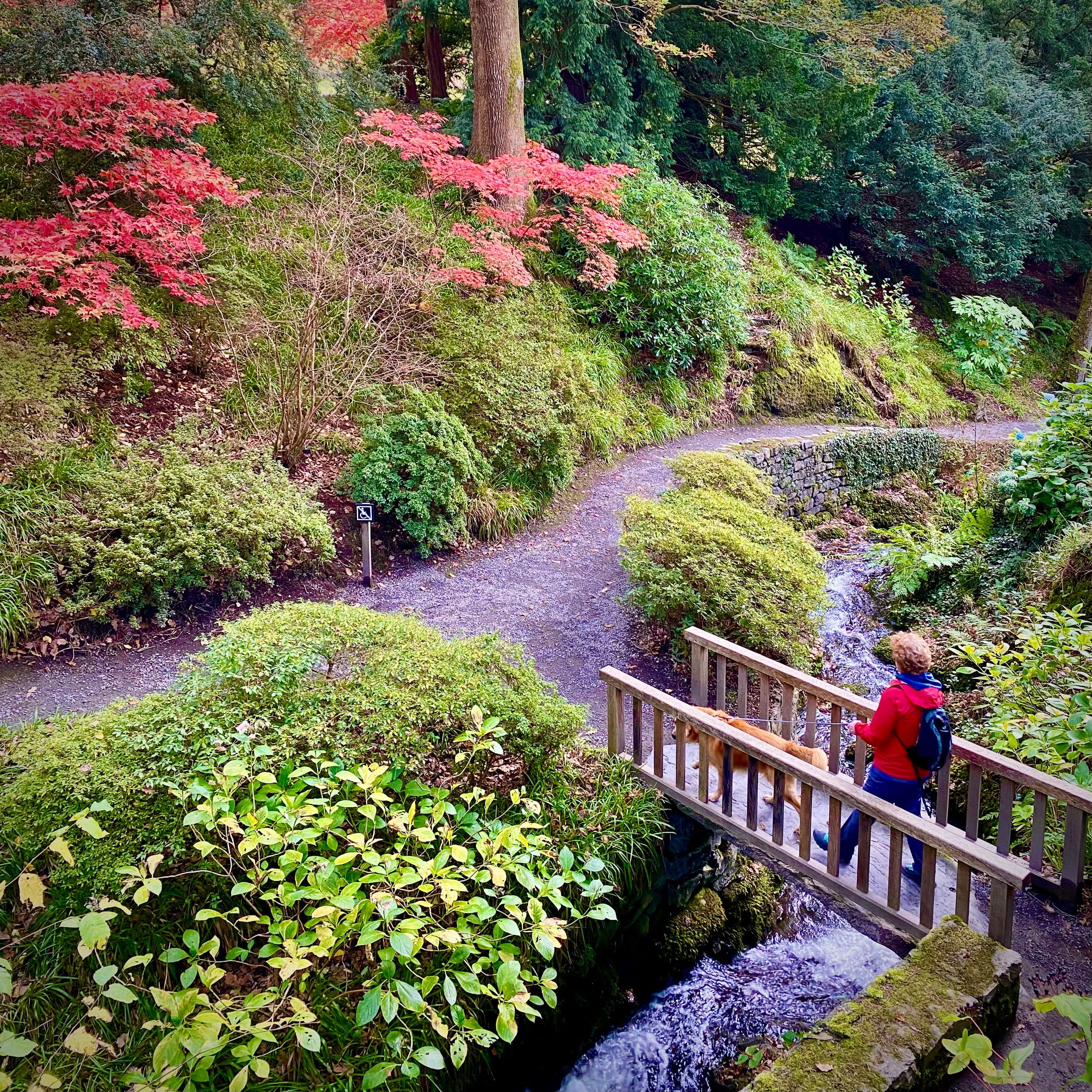 bodnant-garden-north-wales-2