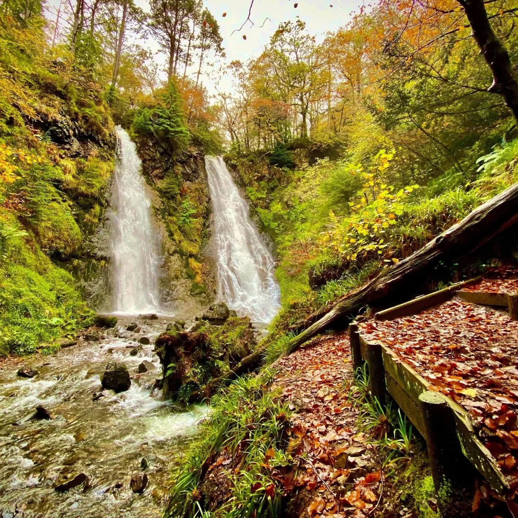 A double waterfall cascading down, surround by leaves and trees