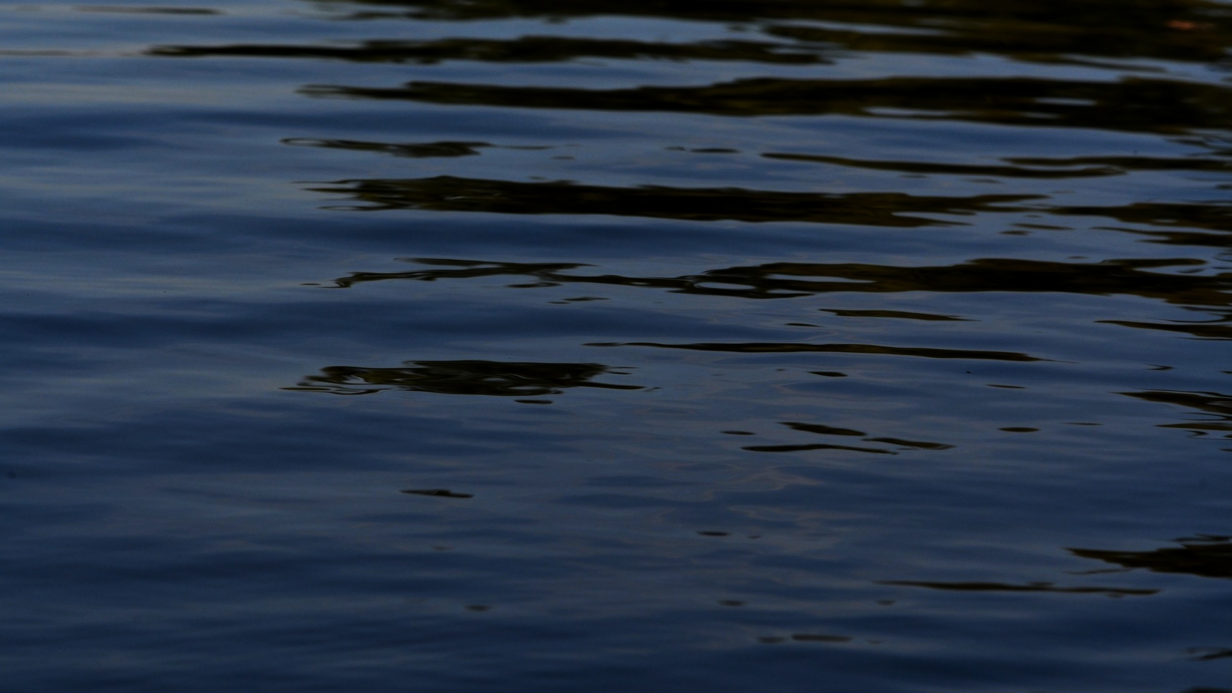 xinature.com-lakes-ripples-little-scenic-waves-lake-quiet-wave-themed-wallpaper-2560x1440.jpg