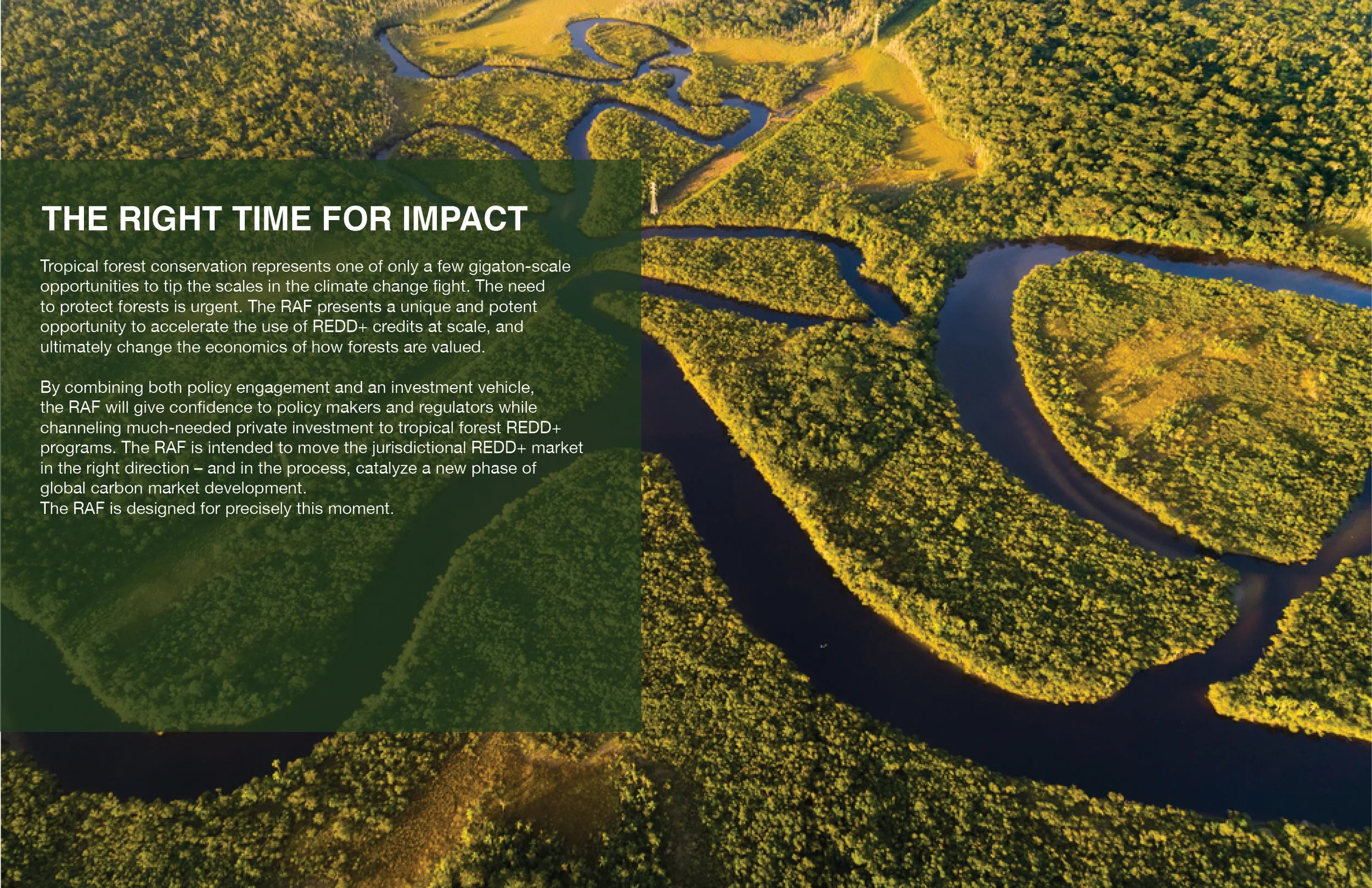 THE_REDD+ACCELERATION_FUND6.jpg