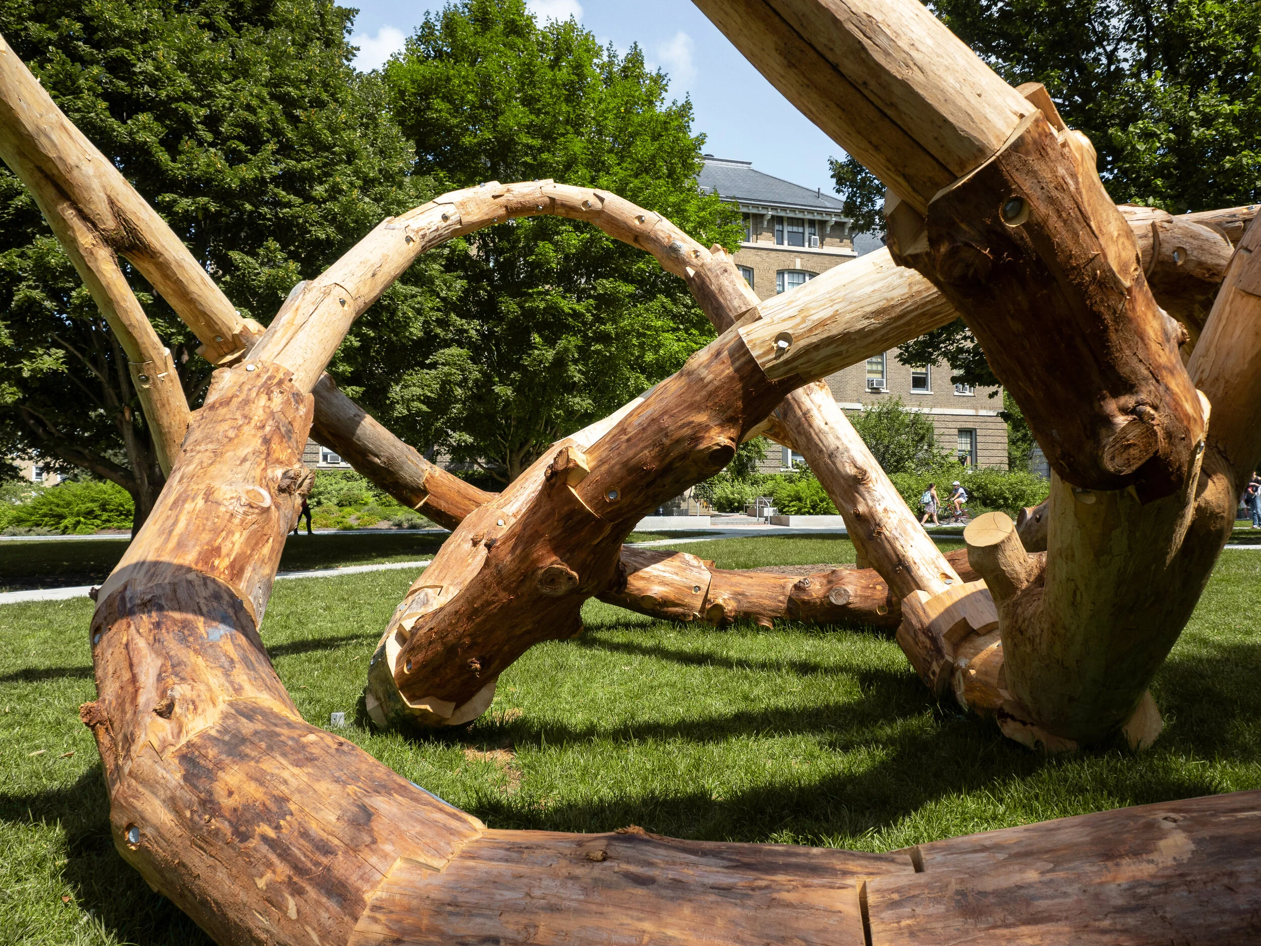 CornellRCL_Logknot_02.jpg
