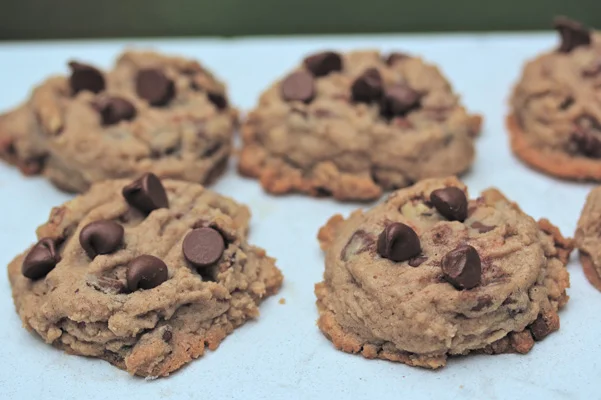 Browned Butter Bourbon Milk Chocolate Chip Cookies with Pecans Author: Dédé Wilson Makes: Makes 20 cookies Ingredients 1 teaspoon unsalted butter ¾ cup pecan halves 1½ cups all-purpose flour ⅓ cup Oliver Farm pecan flour ½ teaspoon salt 1 cup (2 sticks) unsalted butter, at room temperature, cut into tablespoon sized pieces ¾ cup firmly packed light brown sugar 2 teaspoons bourbon 1 teaspoon vanilla extract 1 large egg, at room temperature ¾ cup milk chocolate morsels Instructions Position racks in top and bottom third of oven. Preheat oven to 350°F. Line 2 baking sheet pans with parchment paper; set aside. Melt butter in sauté pan over medium heat until browned. Add the pecan halves and stir to coat. Cook for a few minutes, stirring frequently, until pecans begin to brown. Remove from heat and cool, then chop the nuts. Whisk together the all-purpose flour, pecan flour and salt in a small bowl; set aside. In a large bowl with an electric mixer on medium-high speed, beat butter until creamy, about 2 minutes. Add brown sugar gradually, beating until light and fluffy, about 3 minutes, scraping down the bowl once or twice; beat in bourbon and vanilla, then beat in egg. Add about one-third of dry mixture and mix on low speed. Gradually add remaining flour mixture, mixing just until blended. Stir in morsels and chopped pecans. Drop by generously rounded tablespoon 2 inches apart on cookie sheets. Flatten slightly with lightly floured palm to about ½-inch thick. Bake for about 15 to 18 minutes or until edges and tops have just begun to turn light golden brown. Cool pans on racks for 5 minutes, then slide parchment onto racks to cool cookies completely. Store cookies in airtight container for up to 4 days. Bakepedia Tip You may substitute semisweet chocolate chips for the milk chocolate, if you like. Images: Dédé Wilson
