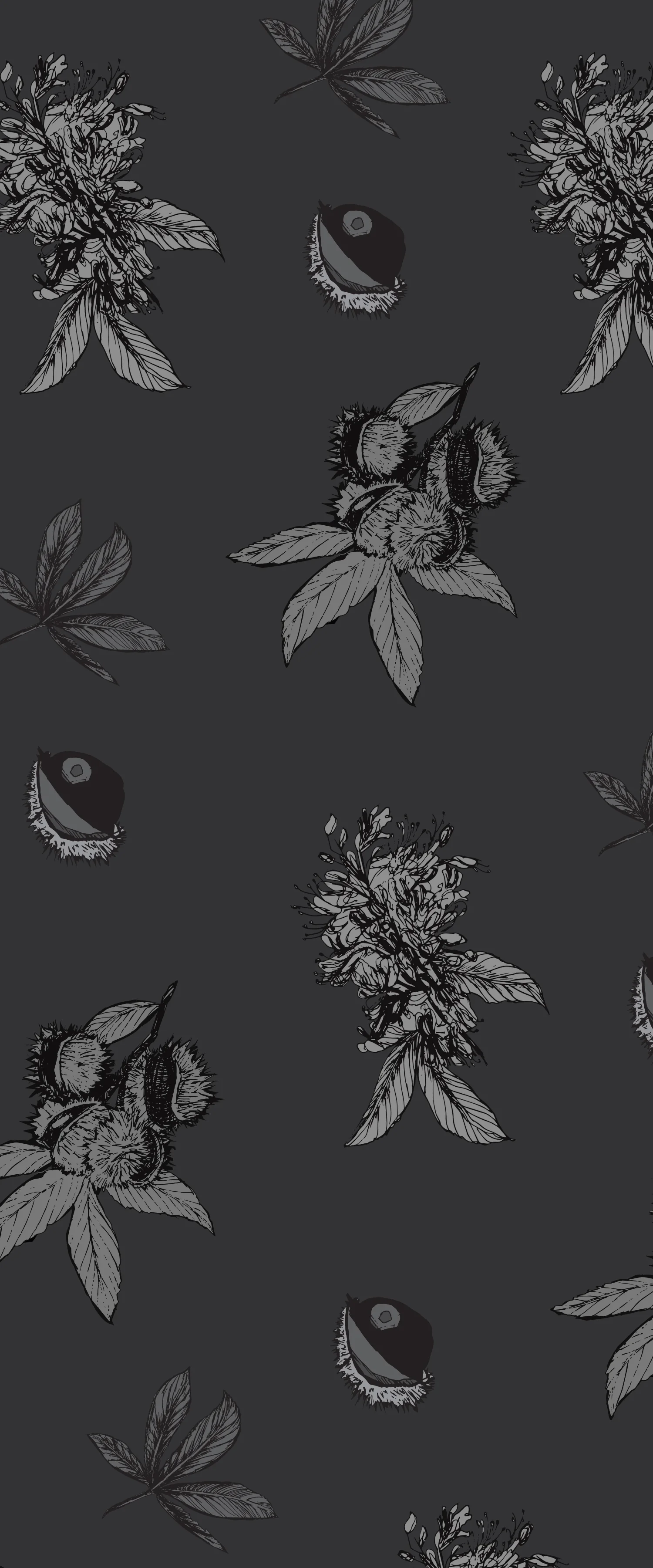 illustration1.jpg
