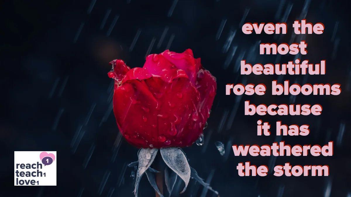 weatheredrose.jpg