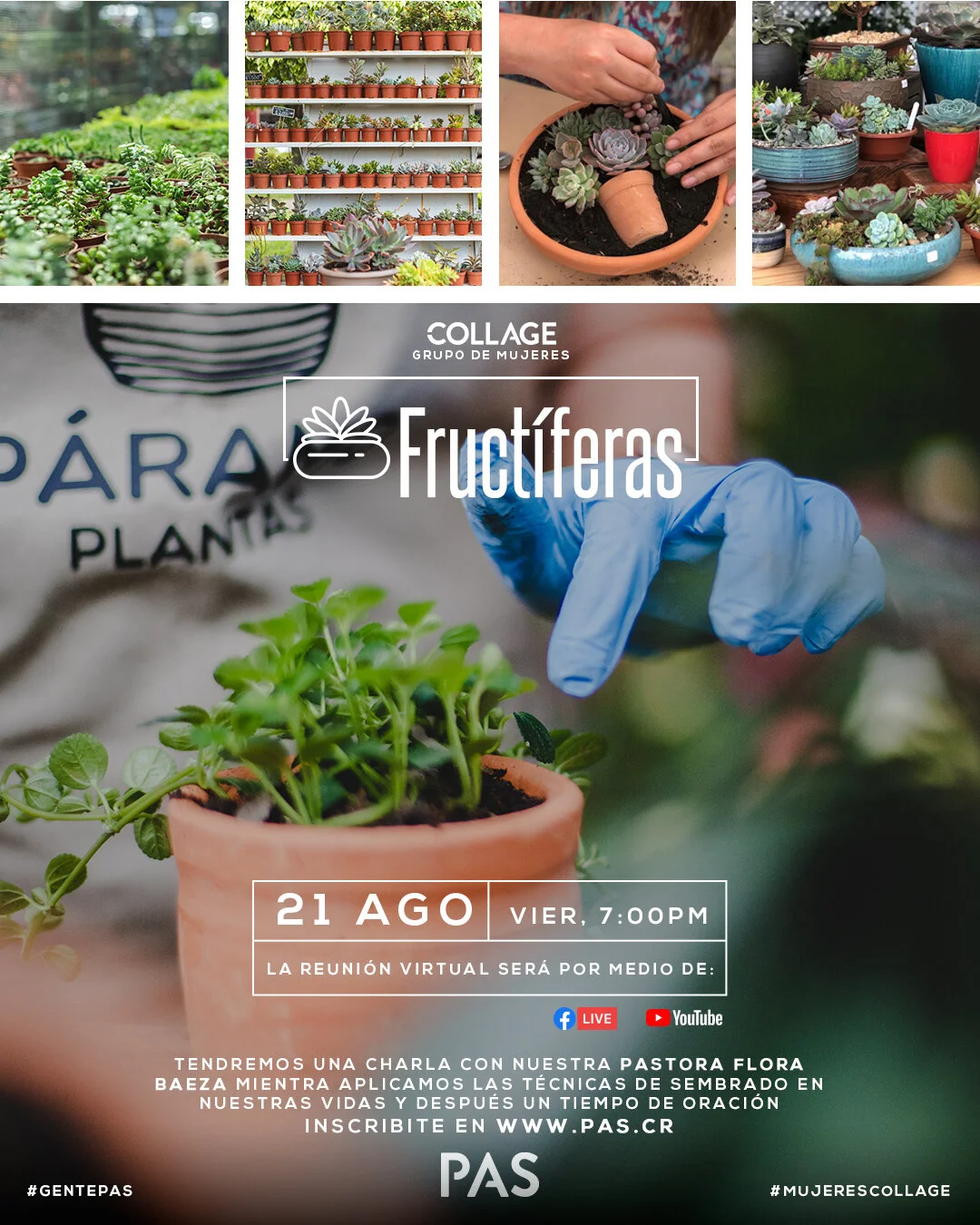 Collage: Fructíferas