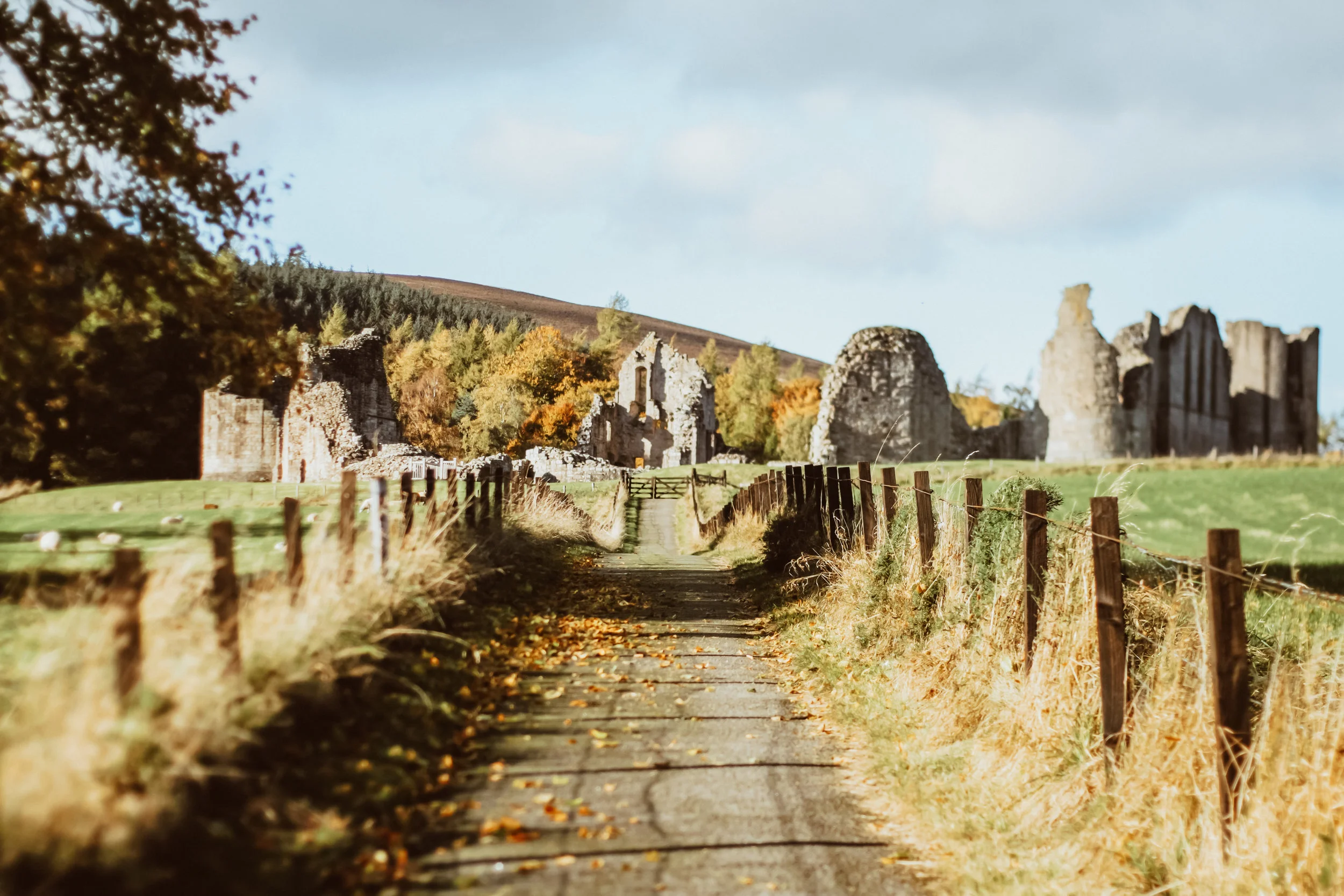Ecosse site bis-10.jpg