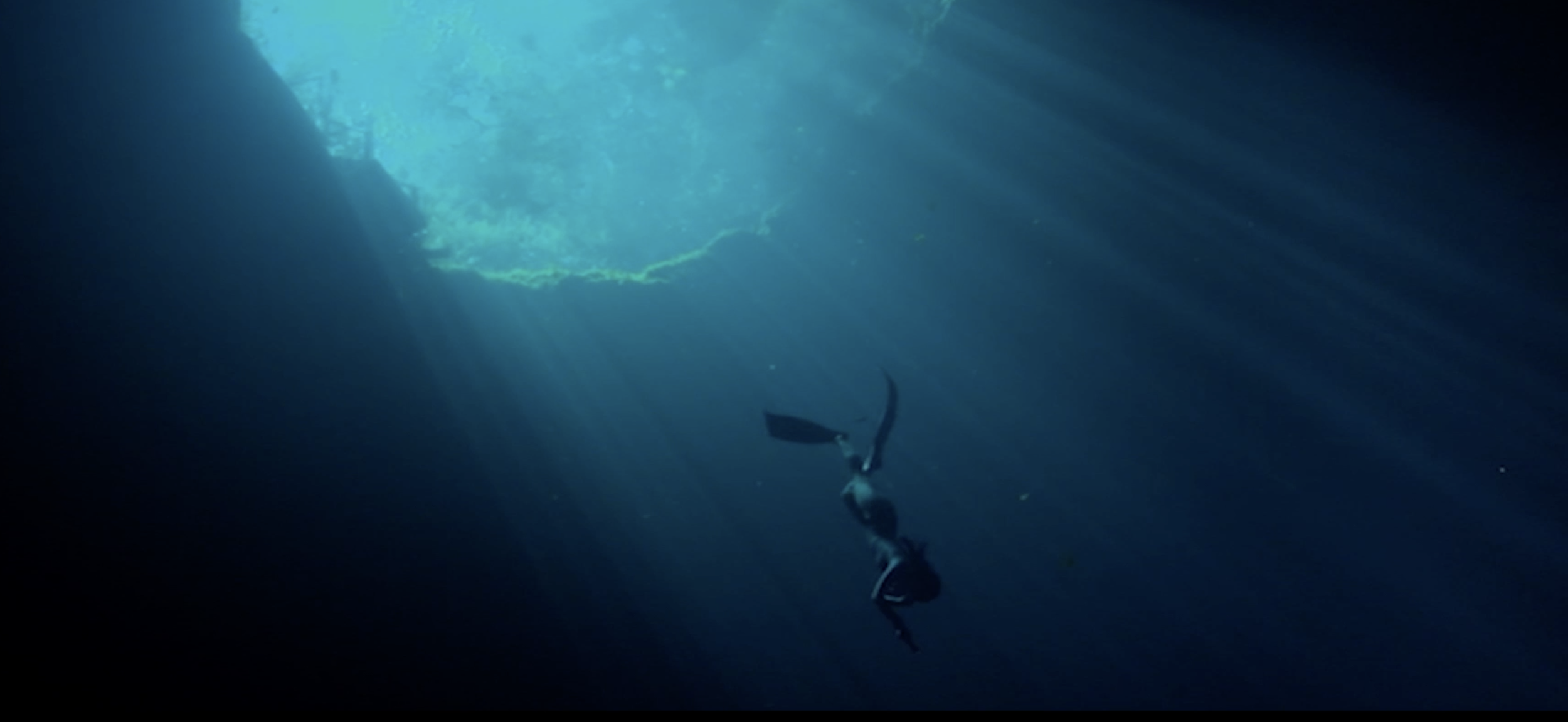 OUR BLUE WORLD: A WATER ODYSSEY