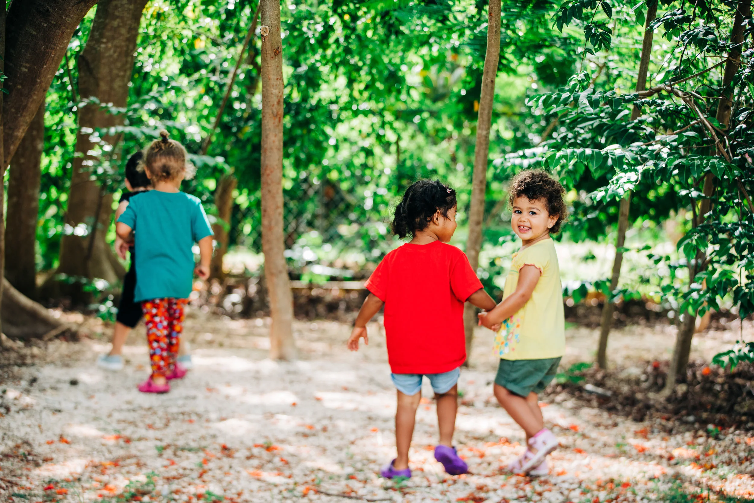 Toddler Play, Island Montessori