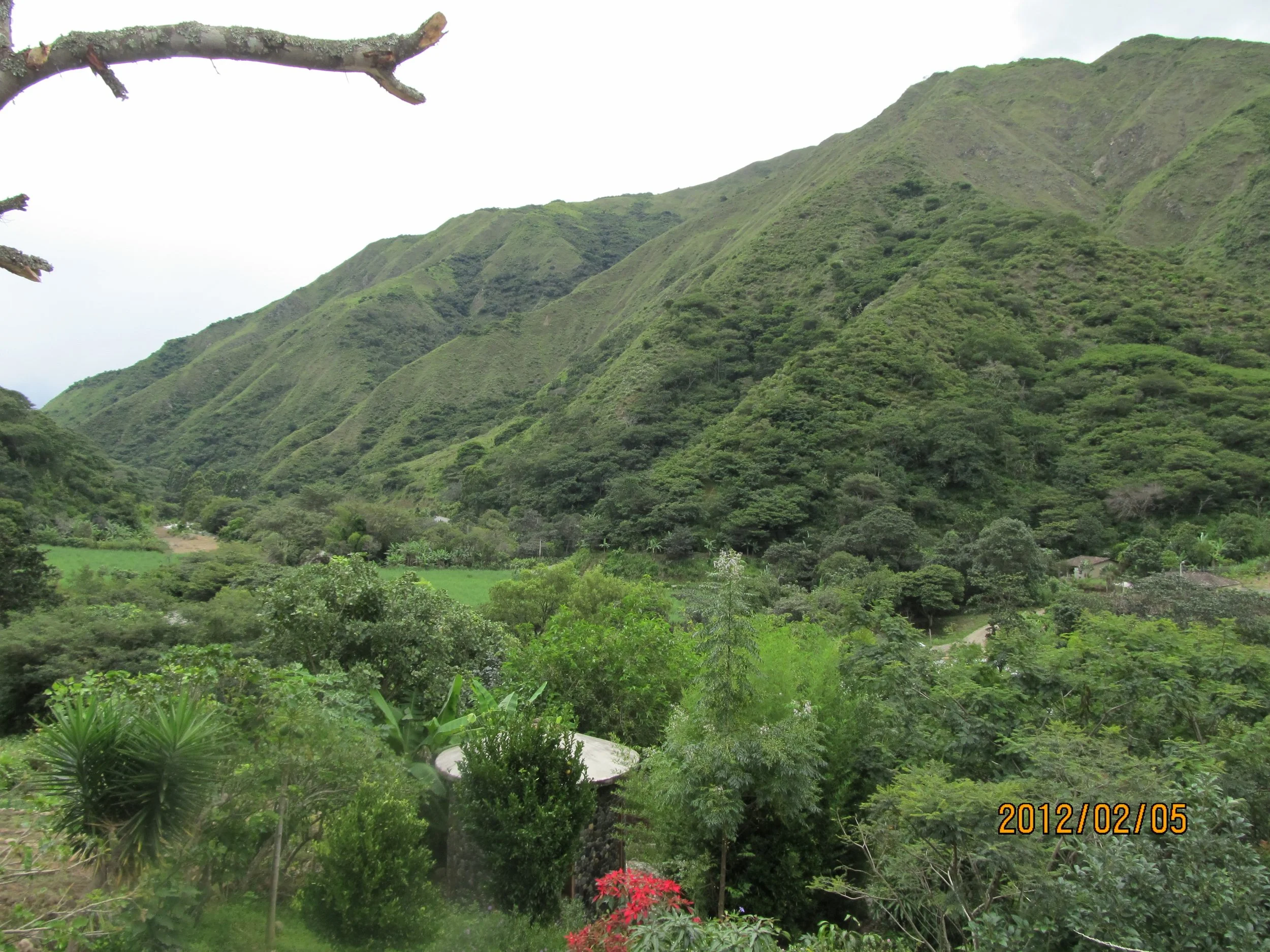 Lush mountain Vilcabamba Ecuador