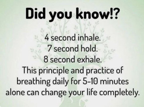 &quot;To master our breath is to be in control of our bodies and minds. Each time we find ourselves dispersed and find it difficult to gain control of ourselves by different means, the method of watching the breath should always be used.&quot; Thich 