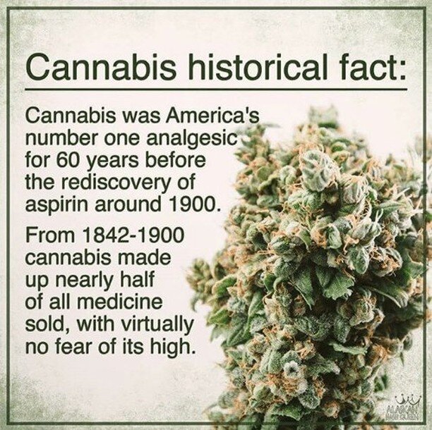 Are you pro or against cannabis? If you're against, ask yourself why. 

Do you believe that it makes people lose their minds and hallucinate? You know, reefer madness 🤪

Do you believe it makes people lazy and affects their performance? 🥱😴

When y