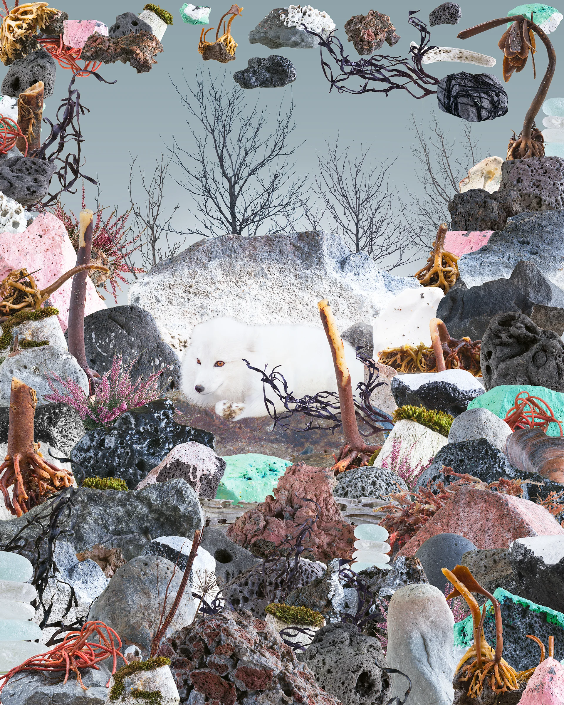 Pieces from an Island that is Still Forming II, 2019