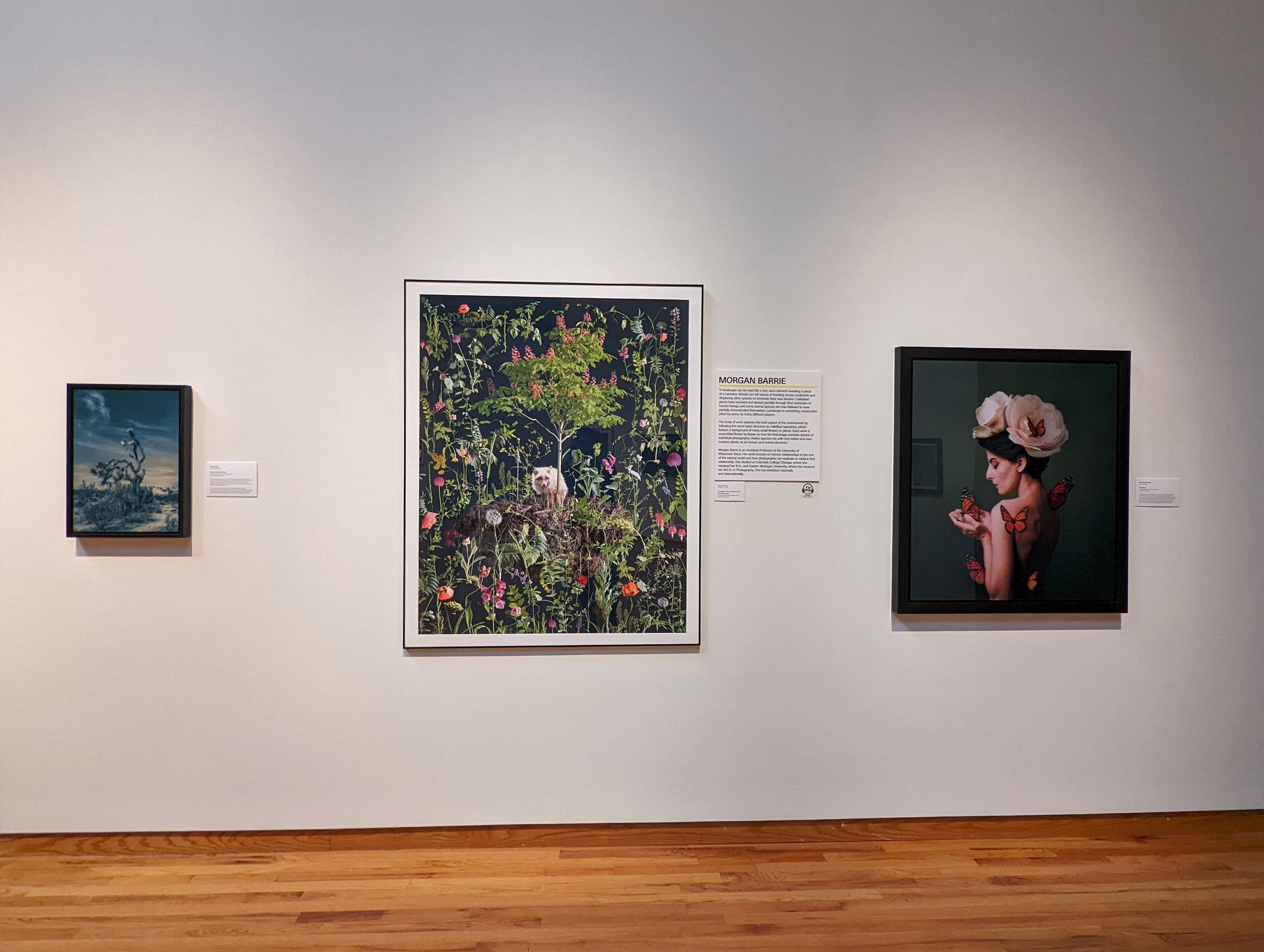 Installation View, "The National: Best Contemporary Photography,"  Fort Wayne Museum of Art, Fort Wayne, IN *Invitational
