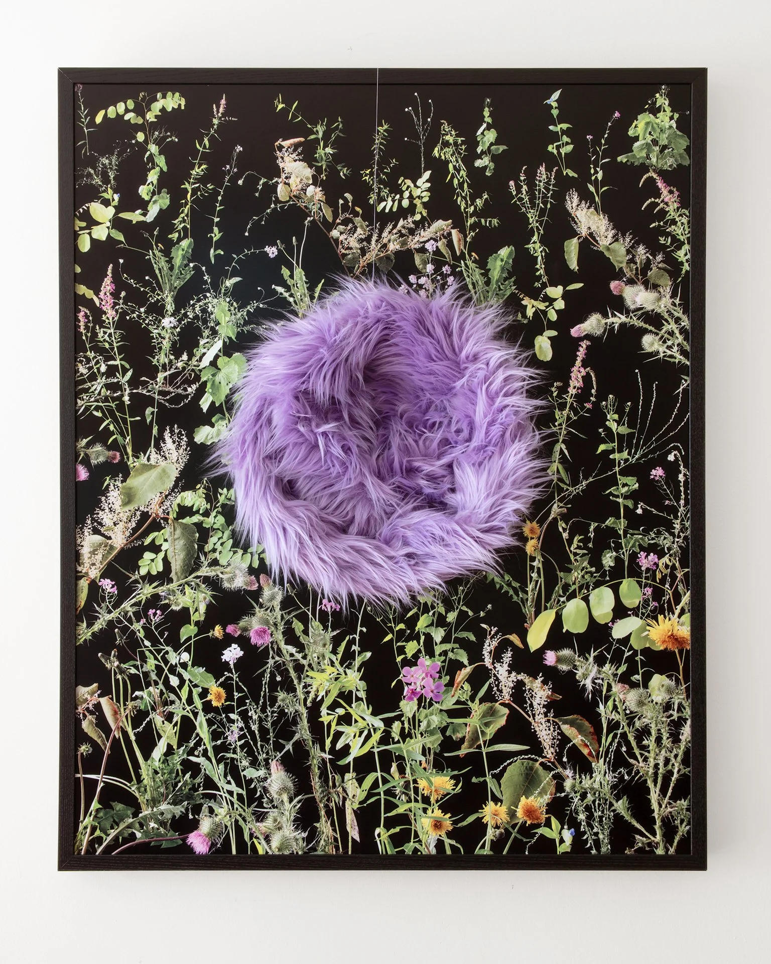 Invasive, dye sublimation on aluminum print with faux fur, 32" x 40," 2025