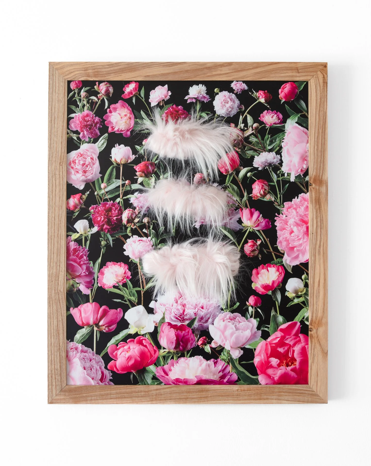 Peonies, dye sublimation on aluminum print with faux fur, 16" x 20," 2026