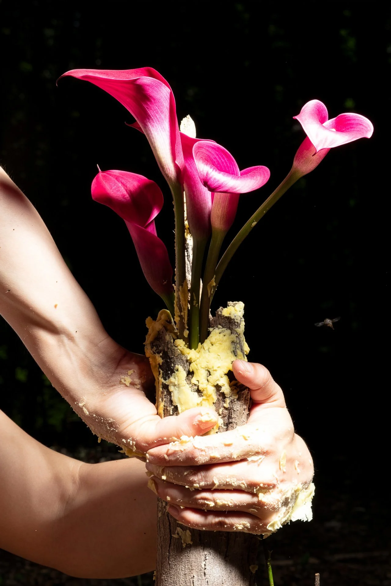 Grafting, archival inkjet print/photo tex, 20" x 30" 2026