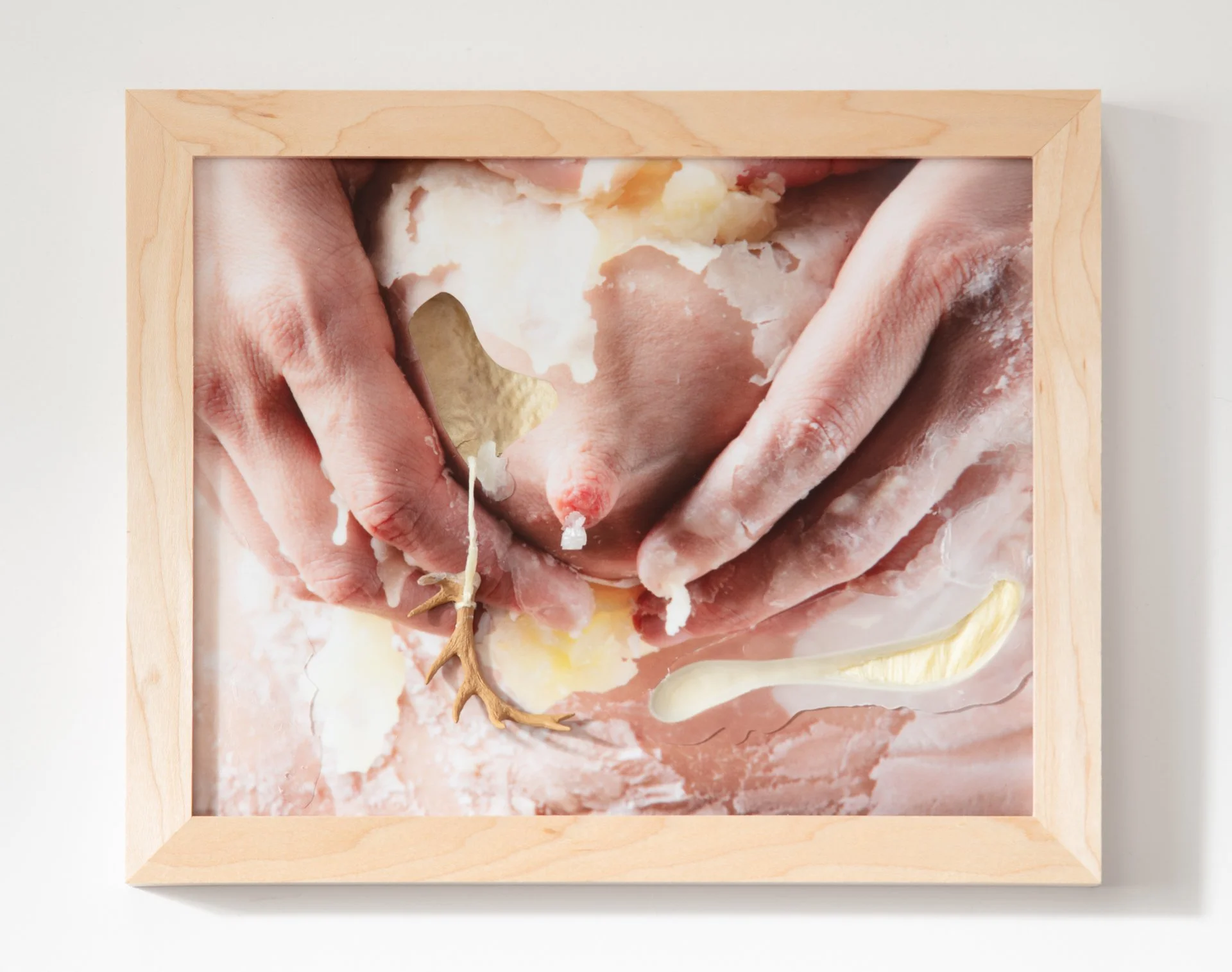 Expression #1, dye sublimation on aluminum print with milkweed pod, paraffin wax, faux fur, borax crystal, and toy antler, 8" x 10," 2026