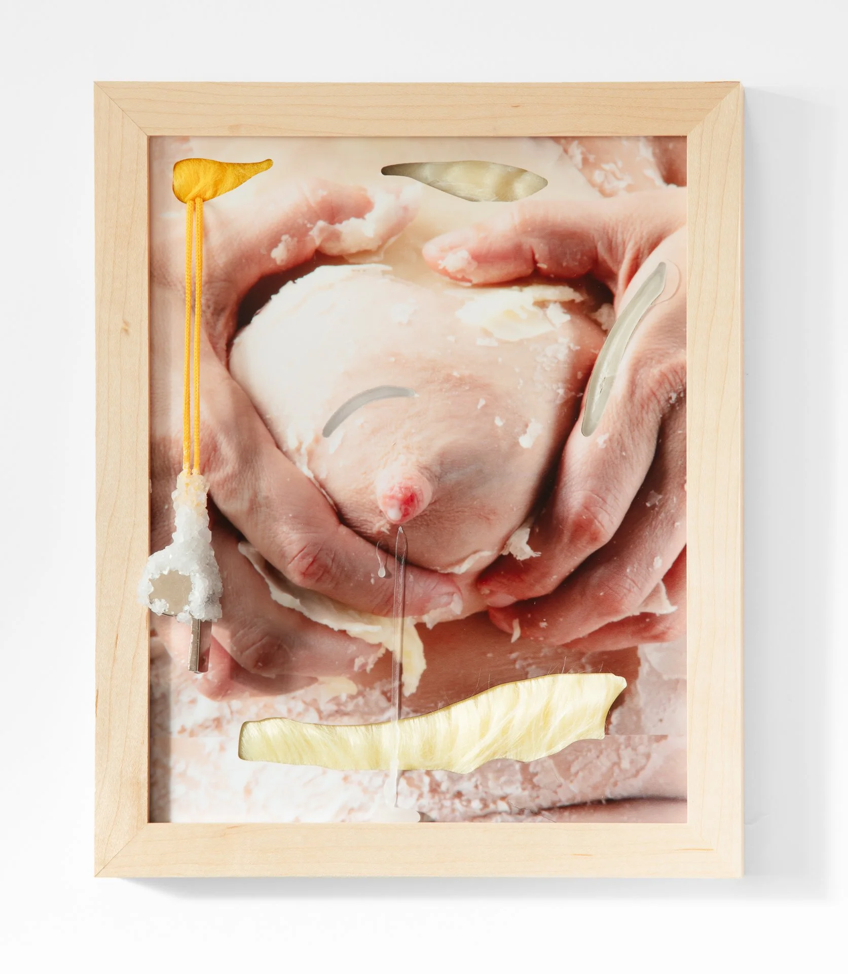 Expression #2, dye sublimation on aluminum print with crystallized whistle, paraffin wax, & faux fur, 8" x 10," 2026