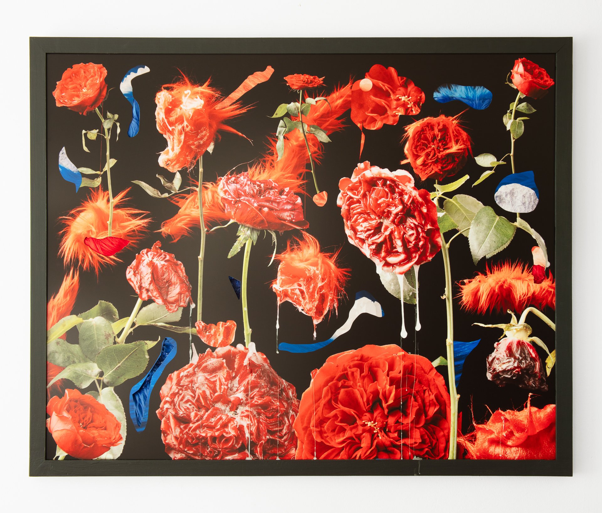 Fertilizer, dye sublimation on aluminum print with faux fur & paraffin wax, 32" x 40," 2026