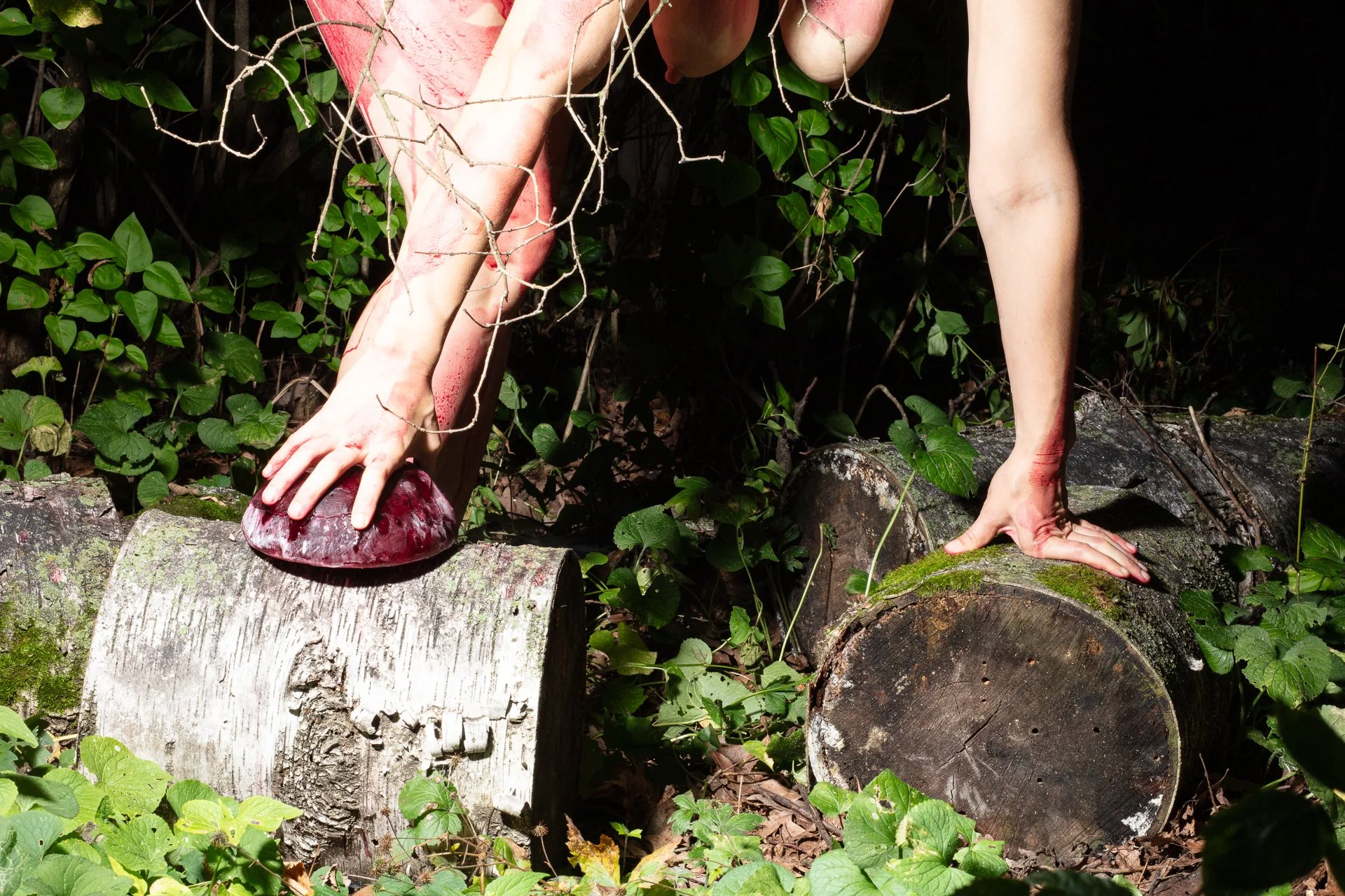 September Garden, Bramble,  archival inkjet print, 20" x 30," 2026