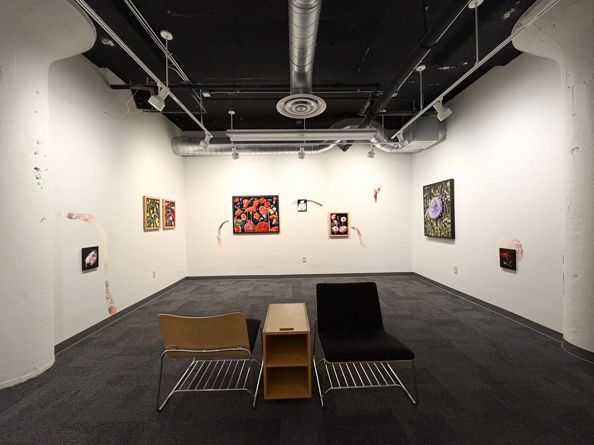 Installation view of "Pelt" at  Perspectives Gallery, Milwaukee Institute of Art & Design, Milwaukee, WI, September 21 - October 28, 2026