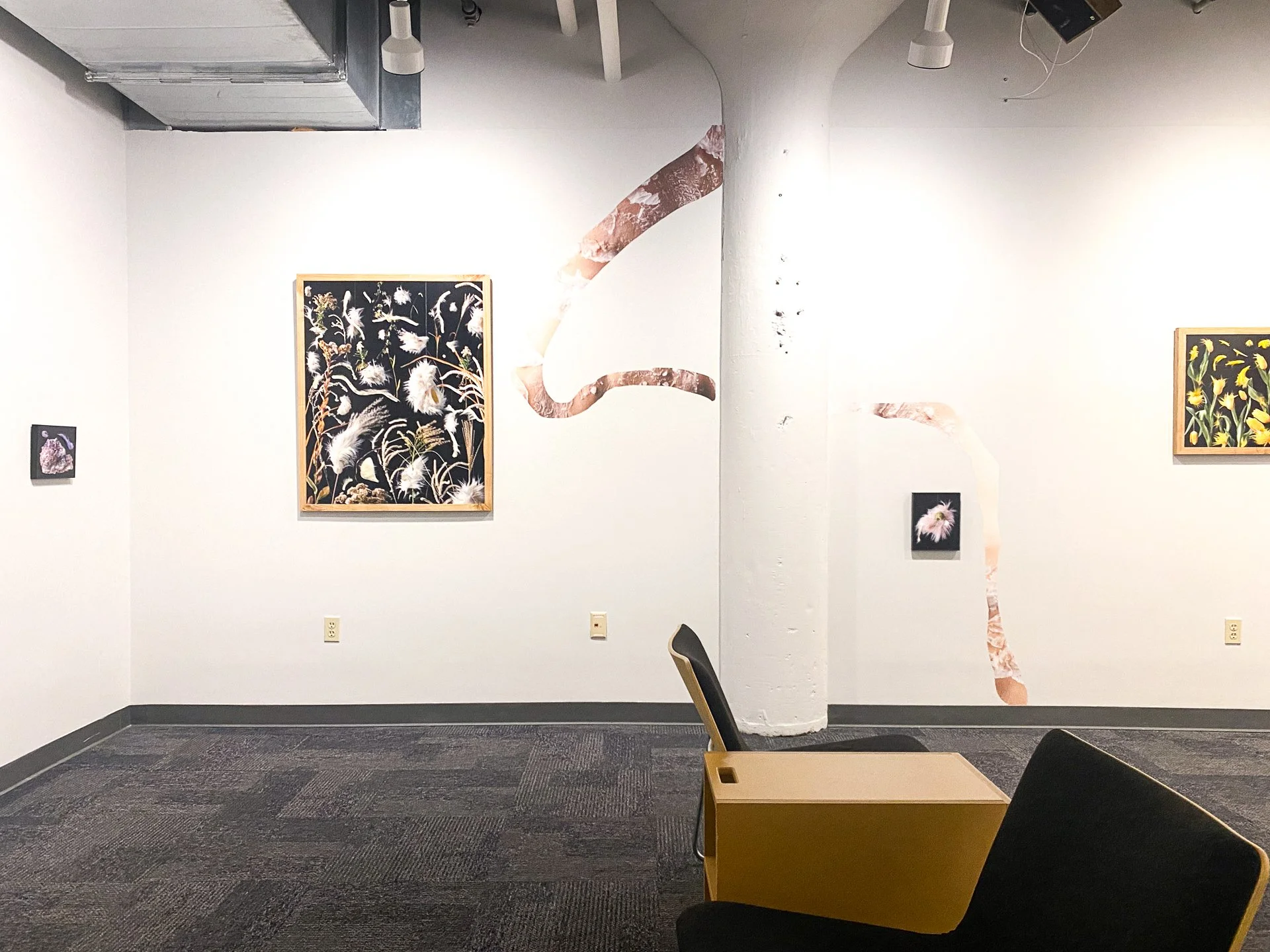 Installation view of "Pelt" at  Perspectives Gallery, Milwaukee Institute of Art & Design, Milwaukee, WI, September 21 - October 28, 2026