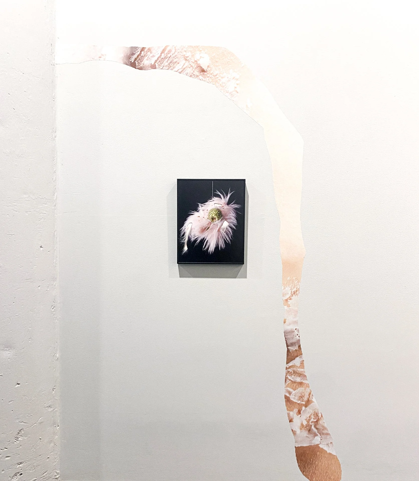 Installation view of "Pelt" at  Perspectives Gallery, Milwaukee Institute of Art & Design, Milwaukee, WI, September 21 - October 28, 2026