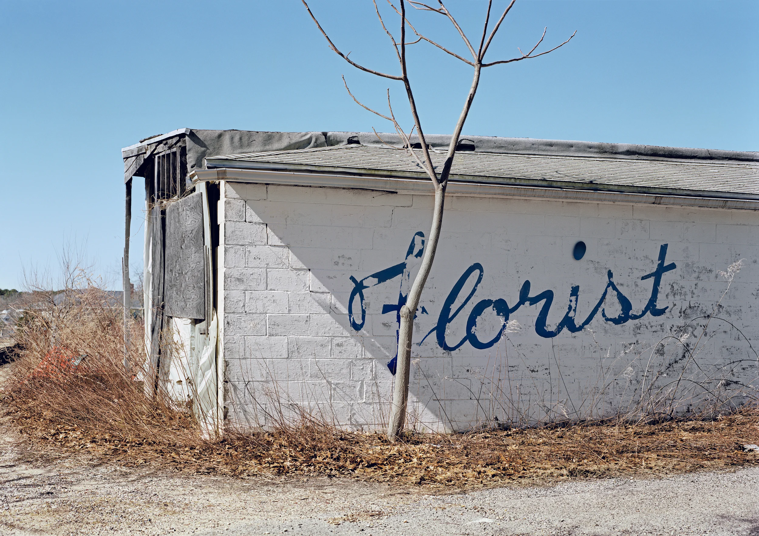 Florist.jpg