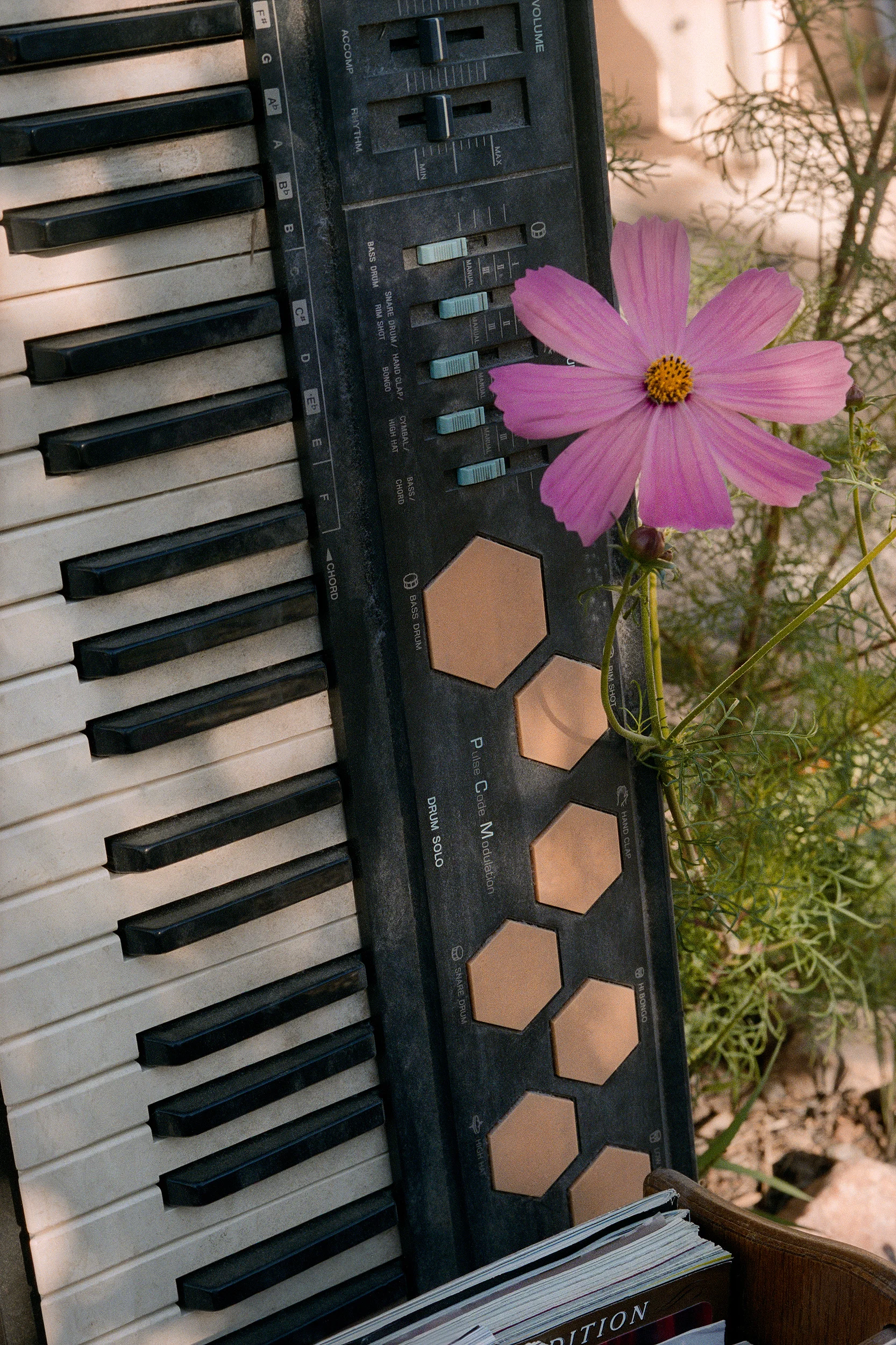 14. keyboard & flower.jpg