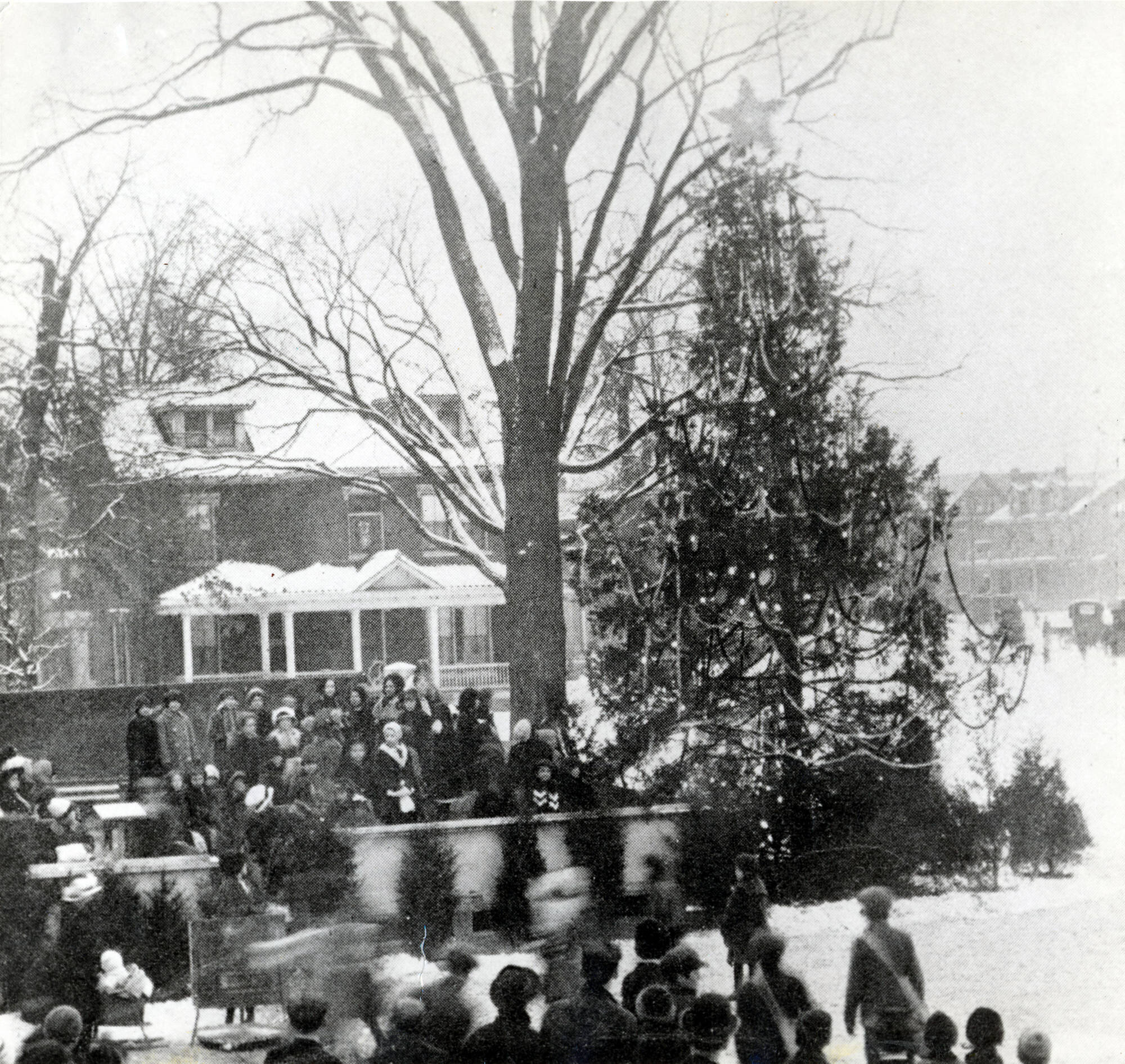 Community Christmas Tree - 1915/12