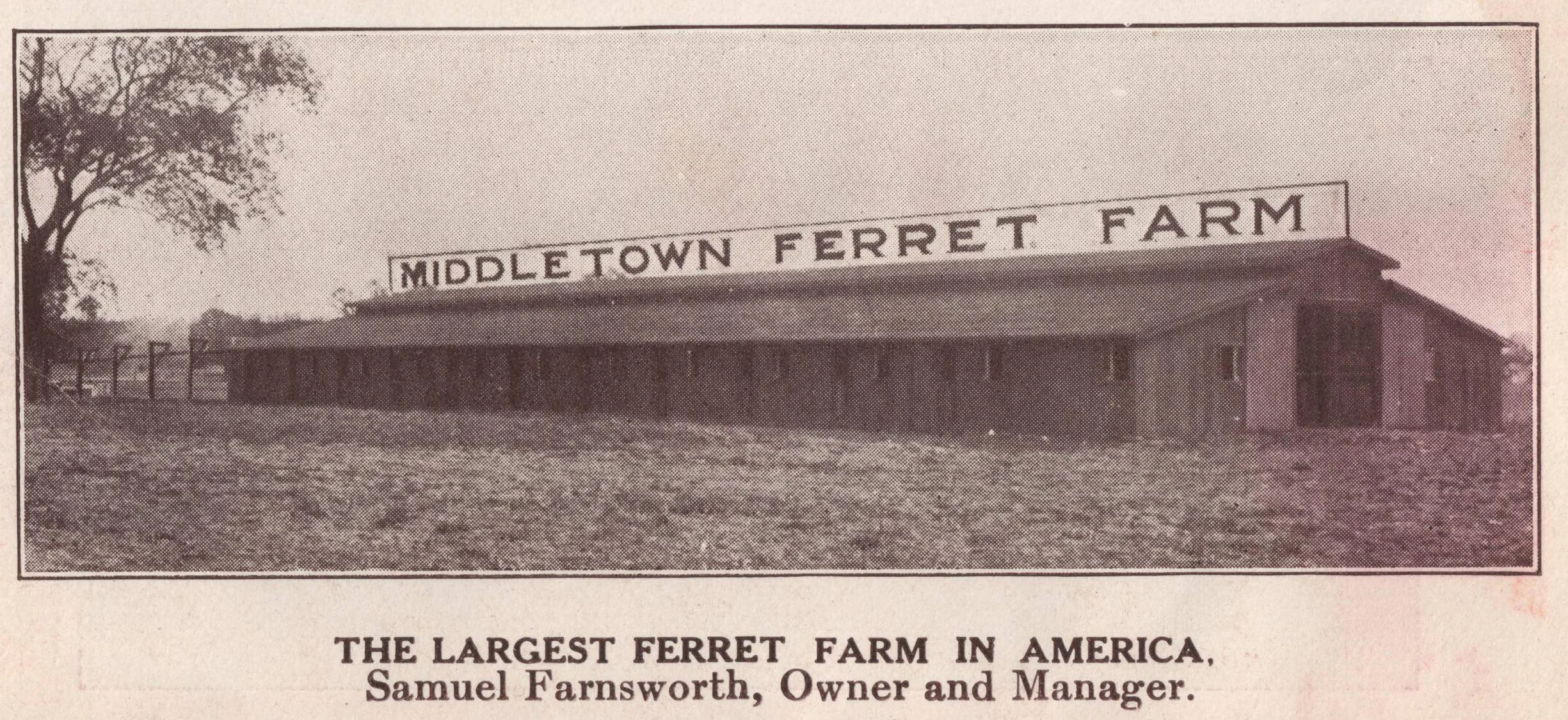 #TBT - Ferret Capital of America