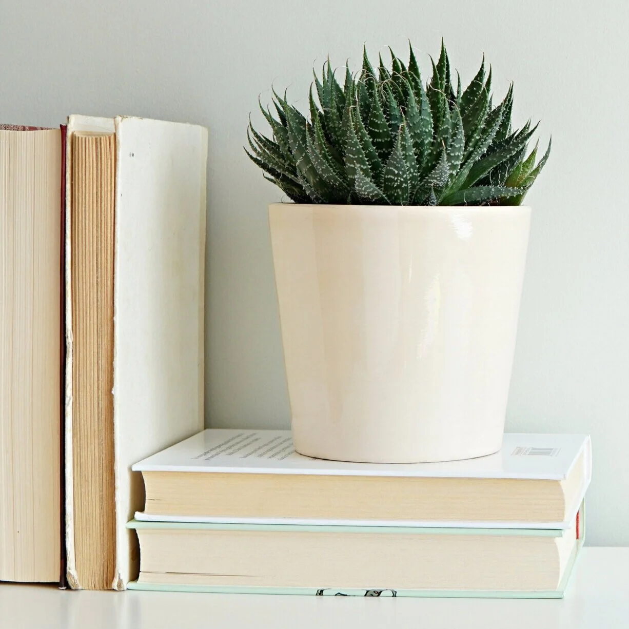 Summer Book Chat List