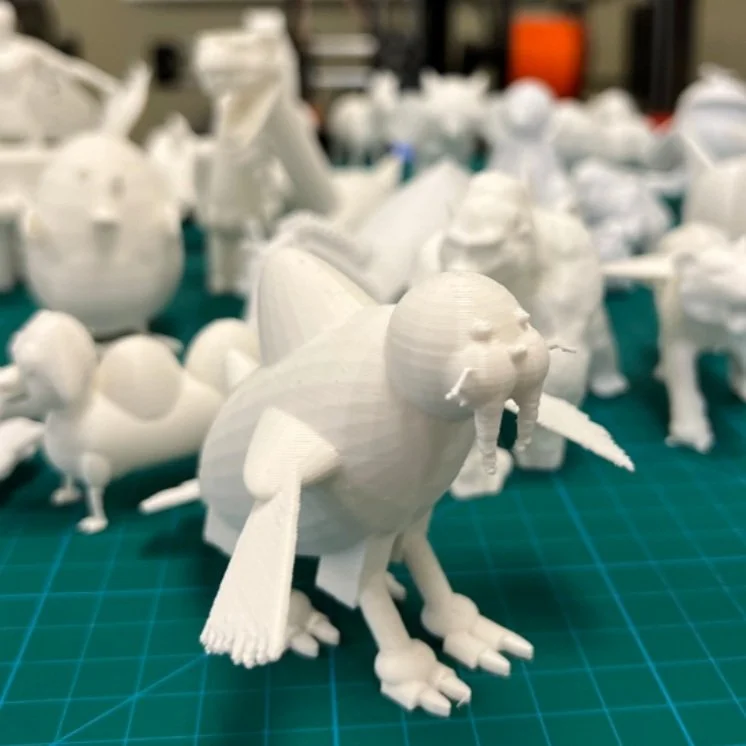 Monore Local Schools Student 3-D Prints