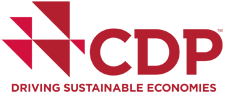 CDP-LOGO.png