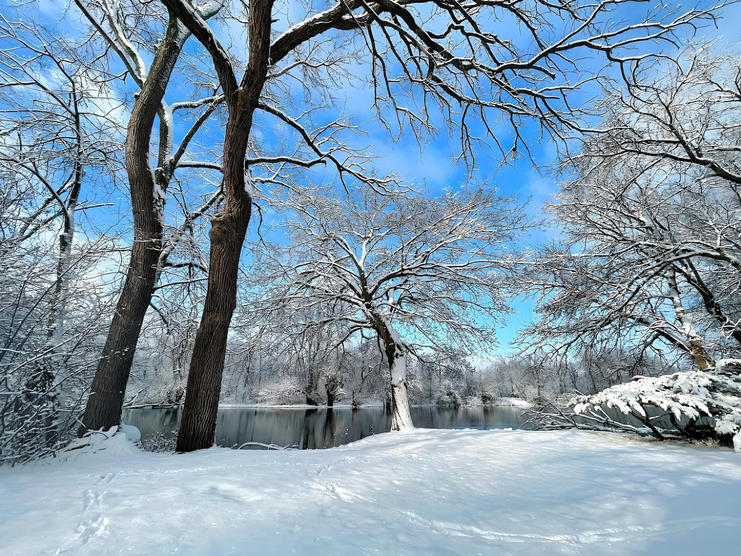 10005 River View 1 - Upscaled.png