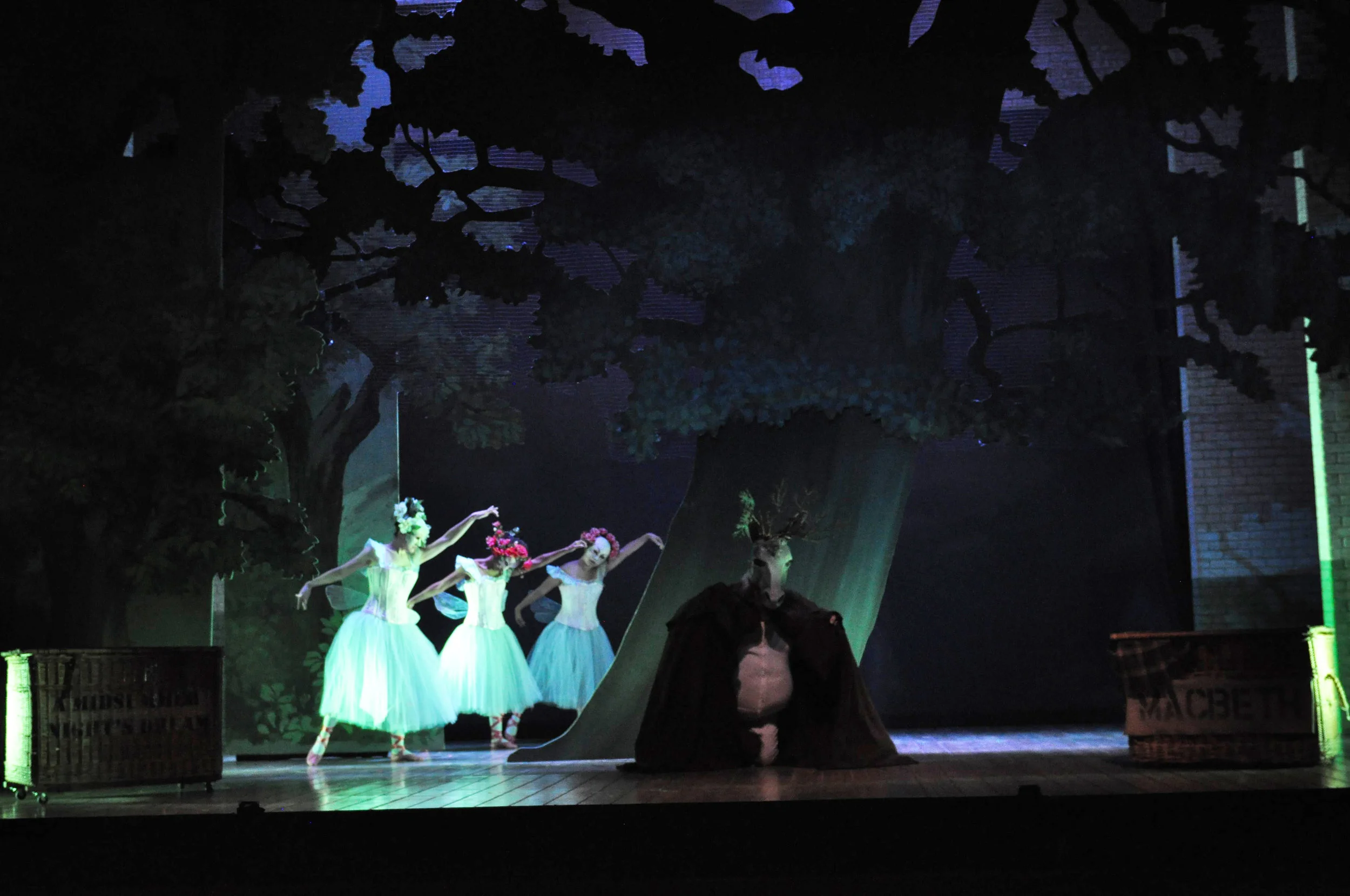 Va Opera Falstaff 9-24-13 Photo Cr DAVID A. BELOFF~ 129.JPG