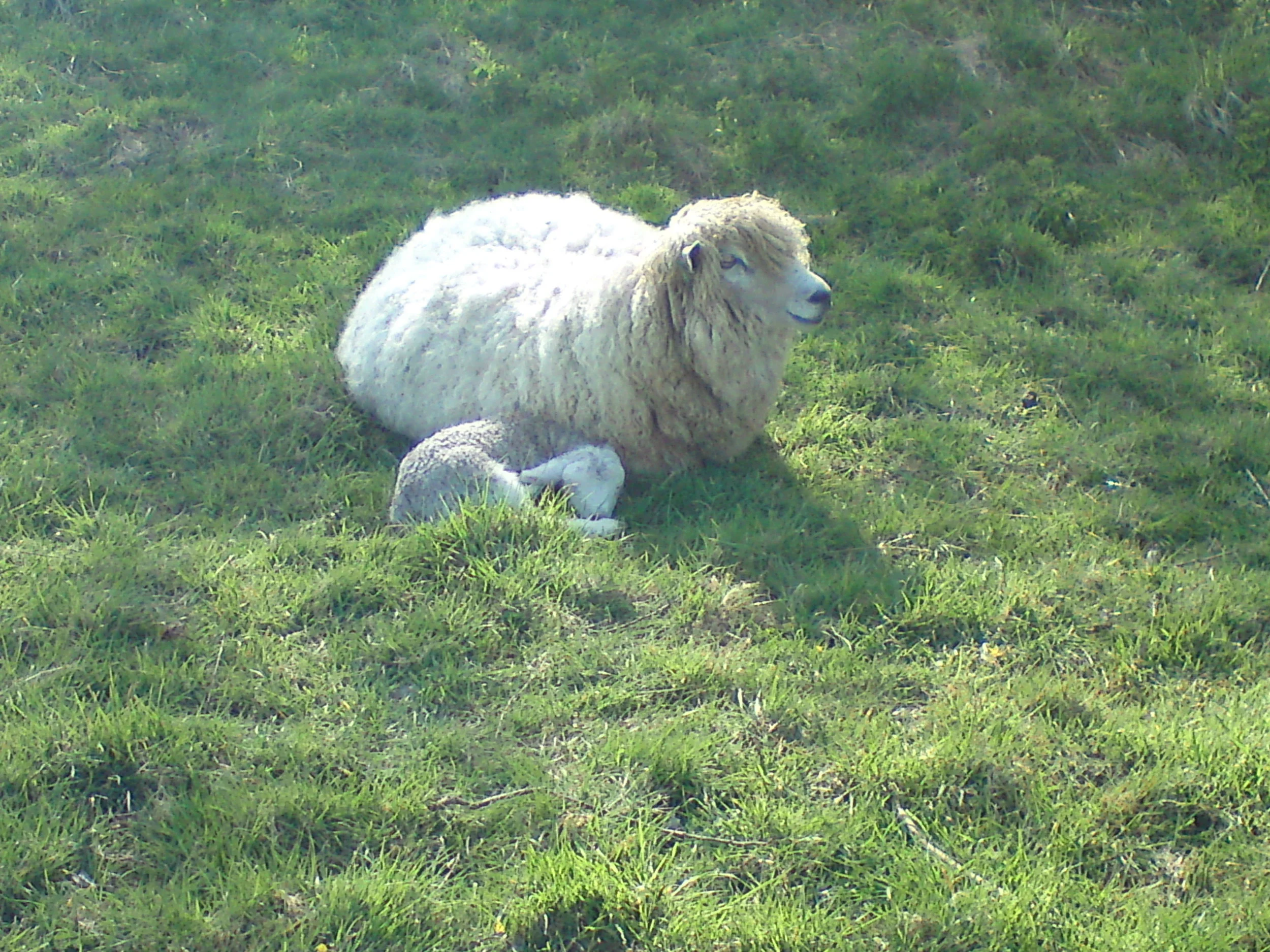 DSC01544.JPG