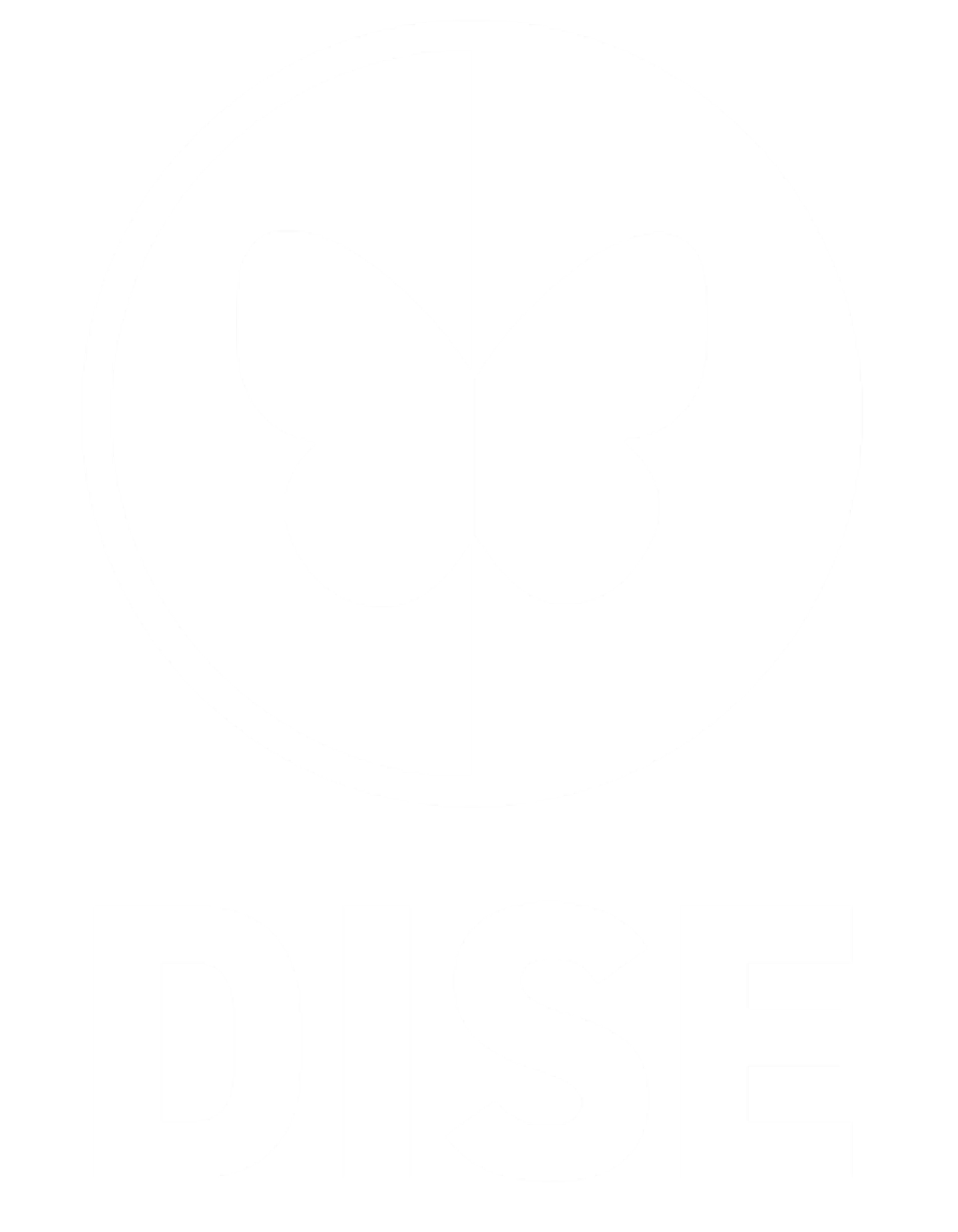 Diverse Solidarity Economies (DISE)