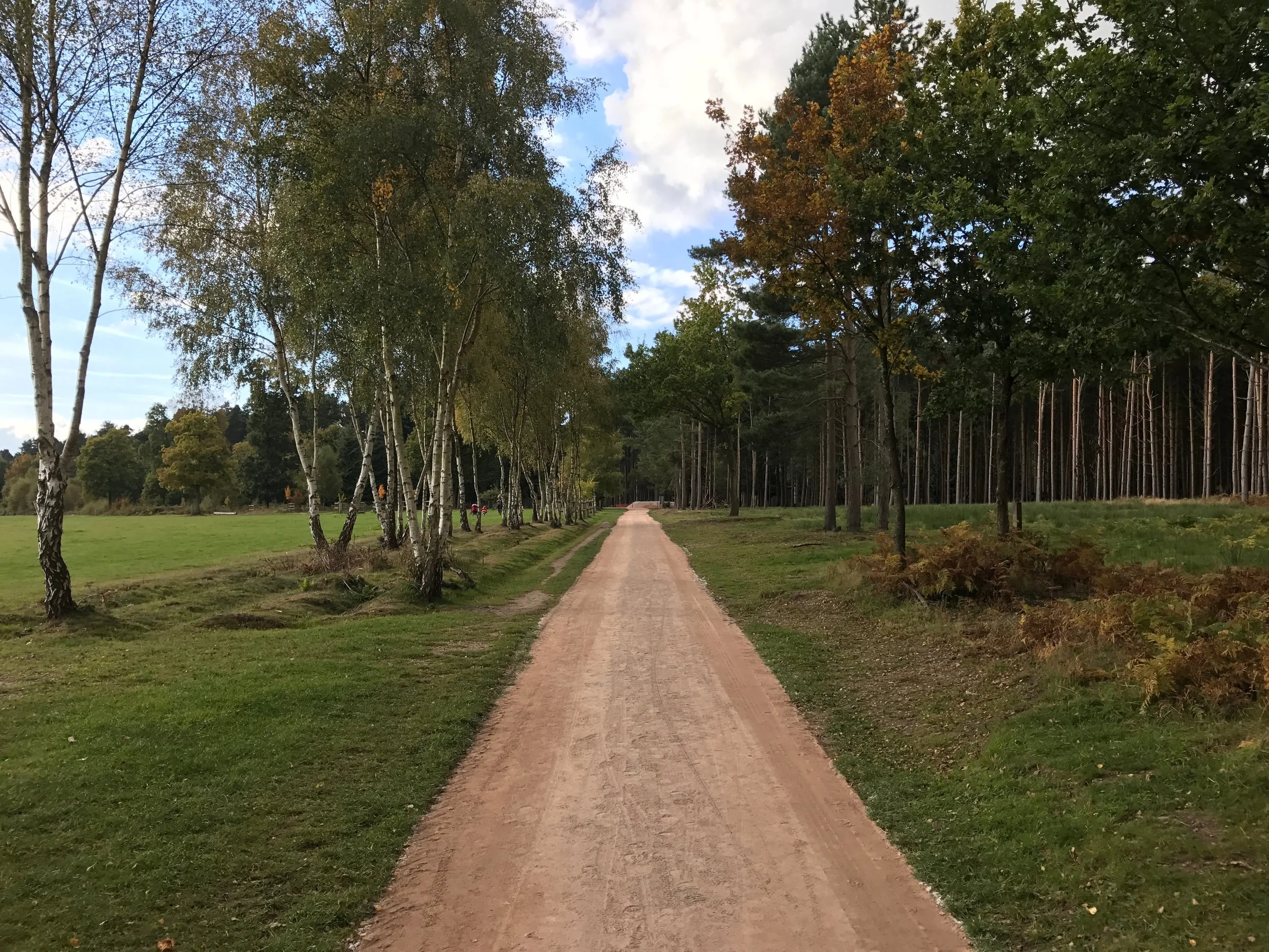 Cannock Chase Ladyhill Trail